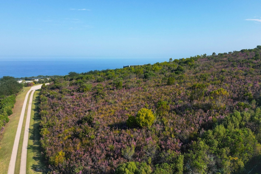 Commercial Property for Sale in Pezula Private Estate Western Cape